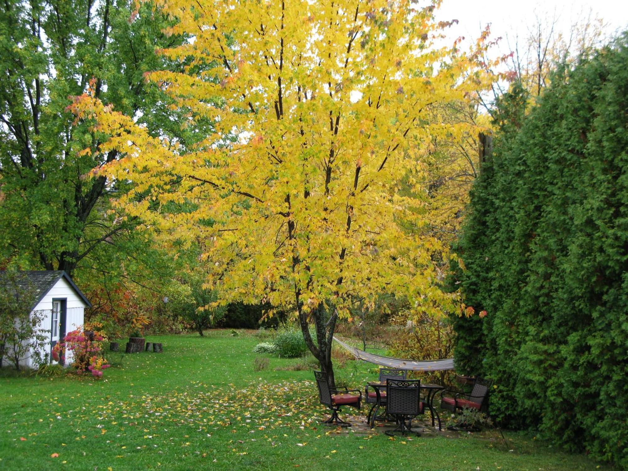 Bed & Breakfast Gite Aux Traditions